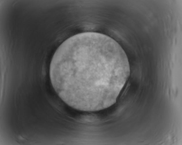 X0000088490215200706191430