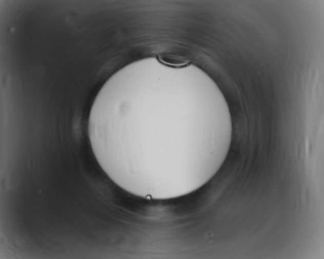 X0000088490216200706191430