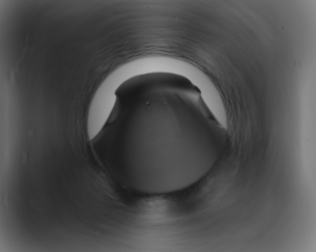 X0000088490219200706191430