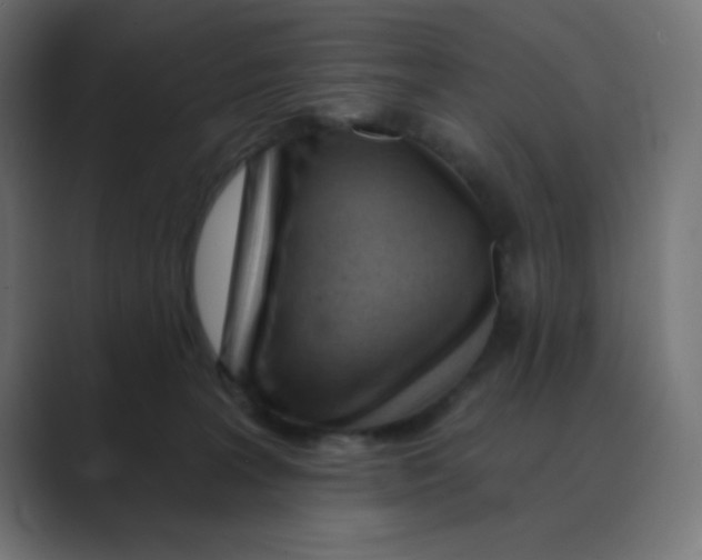 X0000088490227200706191430