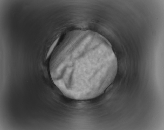 X0000088490229200706191430