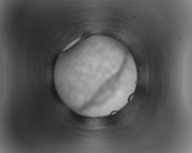 X0000088490230200706191430