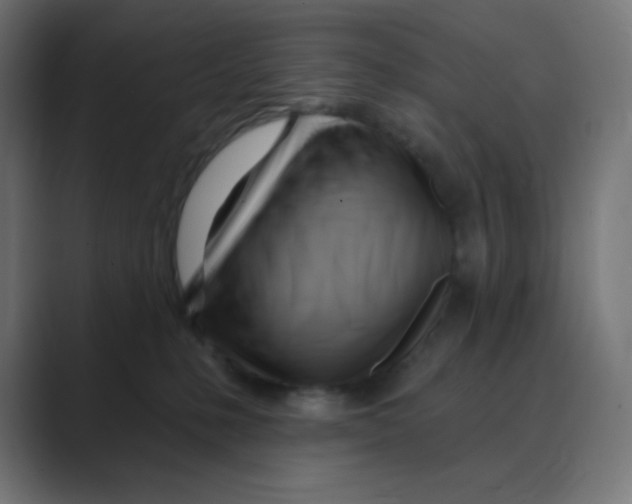 X0000088490231200706191430