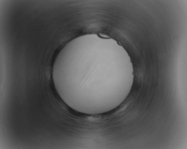 X0000088490232200706191430