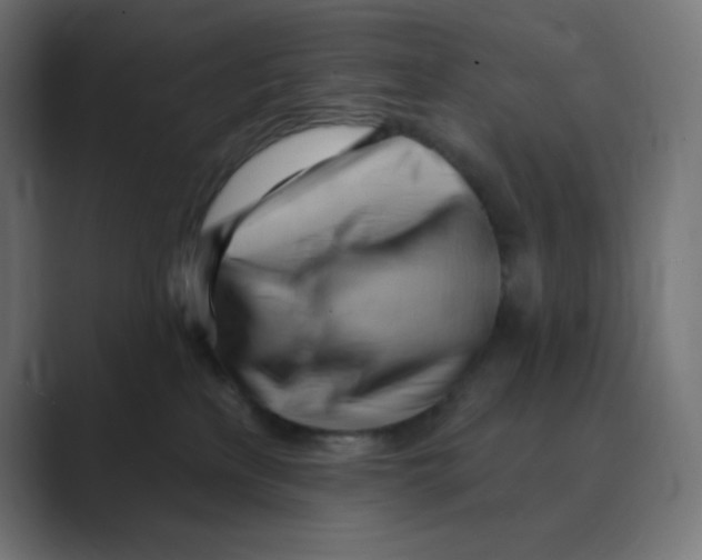 X0000088490233200706191430