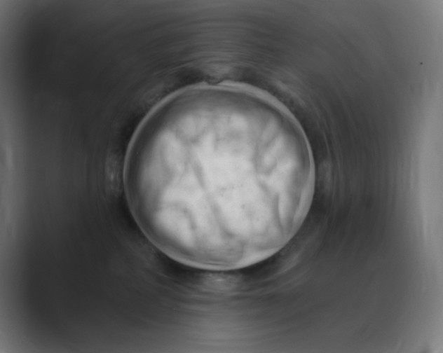 X0000088490234200706191430