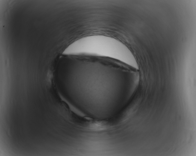 X0000088490235200706191430