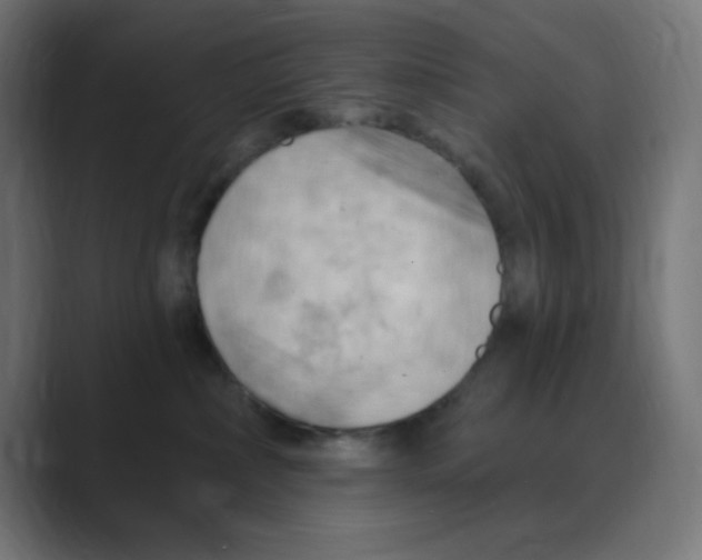 X0000088490236200706191430