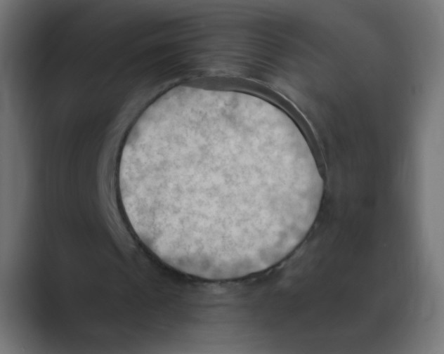 X0000088490241200706191429