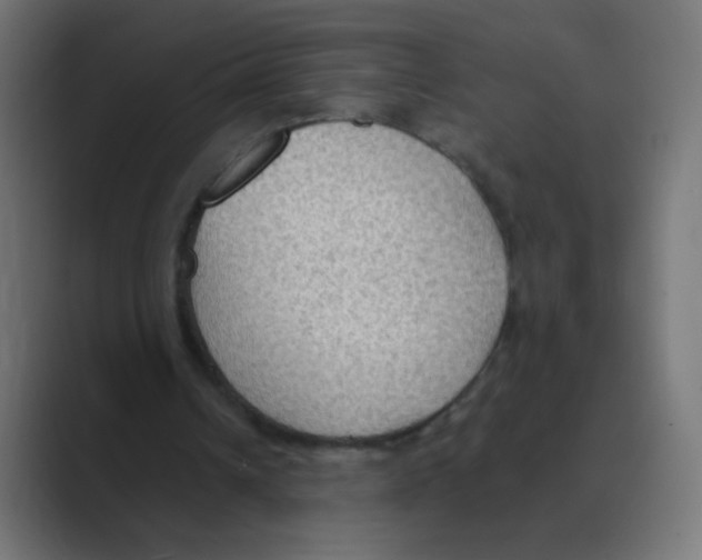 X0000088490242200706191429