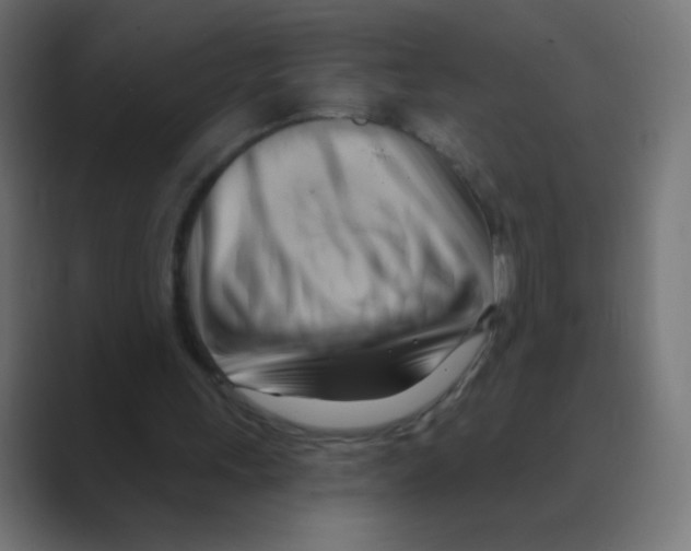 X0000088490243200706191429