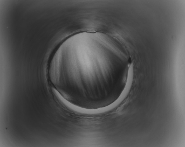 X0000088490244200706191429