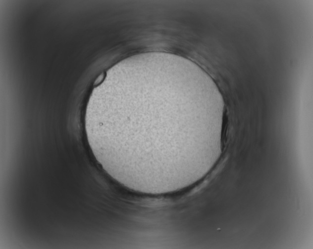 X0000088490245200706191429