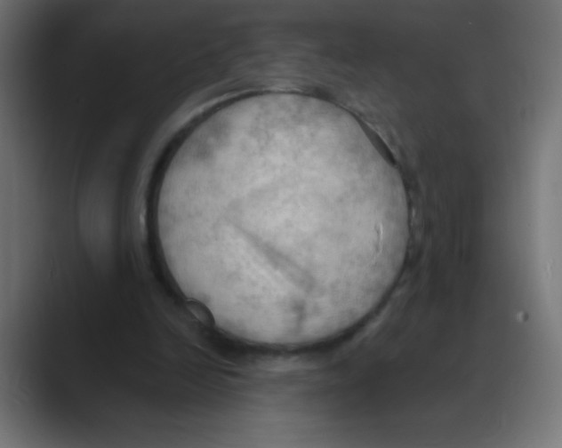 X0000088490246200706191429