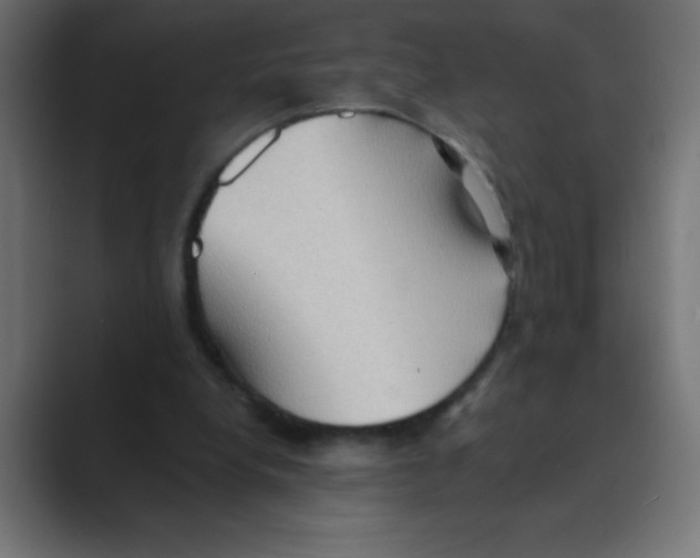 X0000088490248200706191429