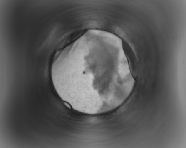 X0000088490249200706191429