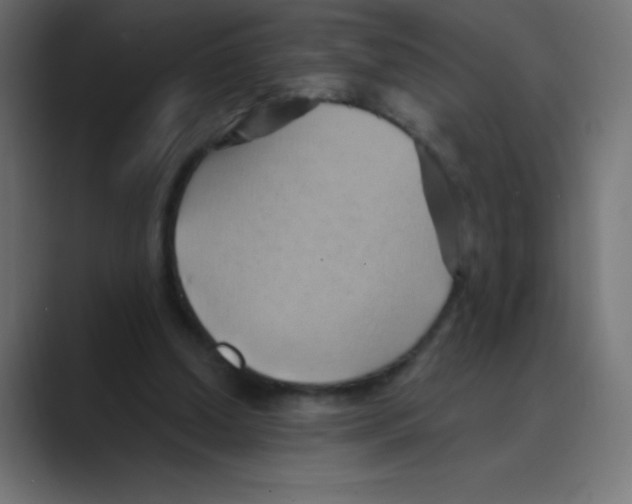 X0000088490250200706191429