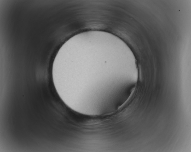 X0000088490252200706191429
