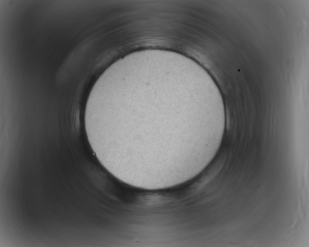 X0000088490253200706191429