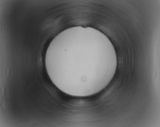 X0000088490254200706191429