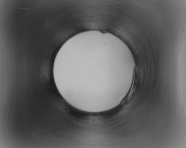 X0000088490255200706191429