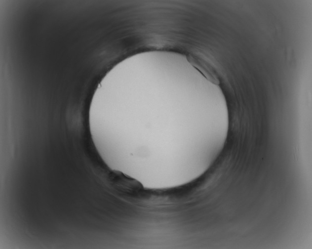 X0000088490256200706191429