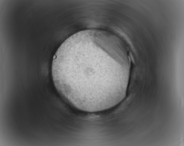 X0000088490257200706191429