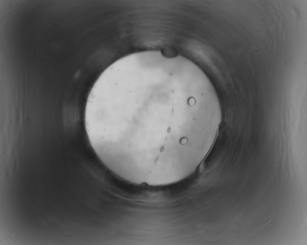 X0000088490260200706191430