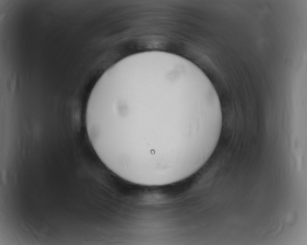 X0000088490262200706191430