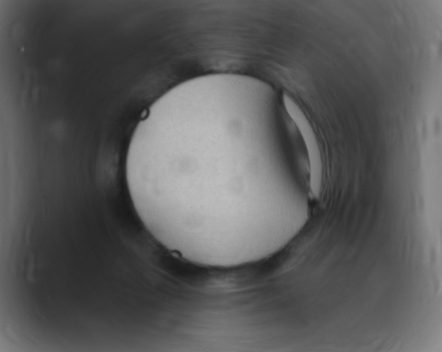X0000088490263200706191430