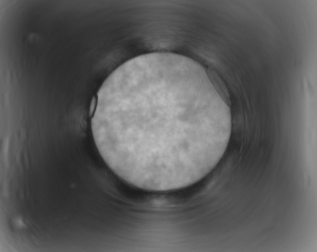 X0000088490264200706191430