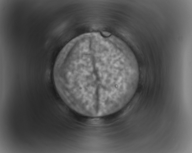 X0000088490269200706191430