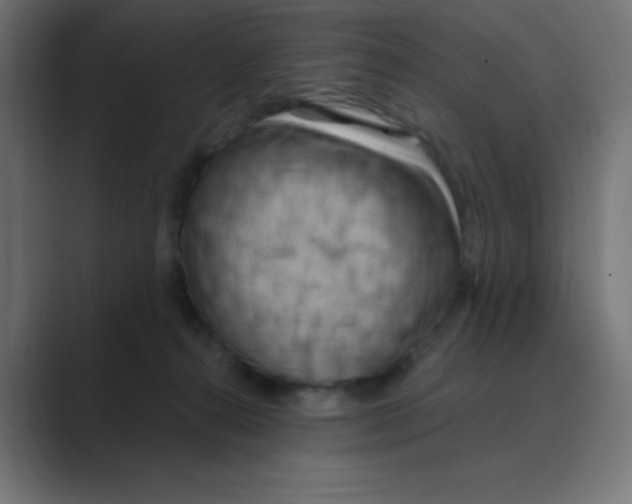 X0000088490272200706191430
