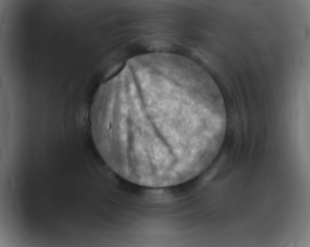 X0000088490281200706191430
