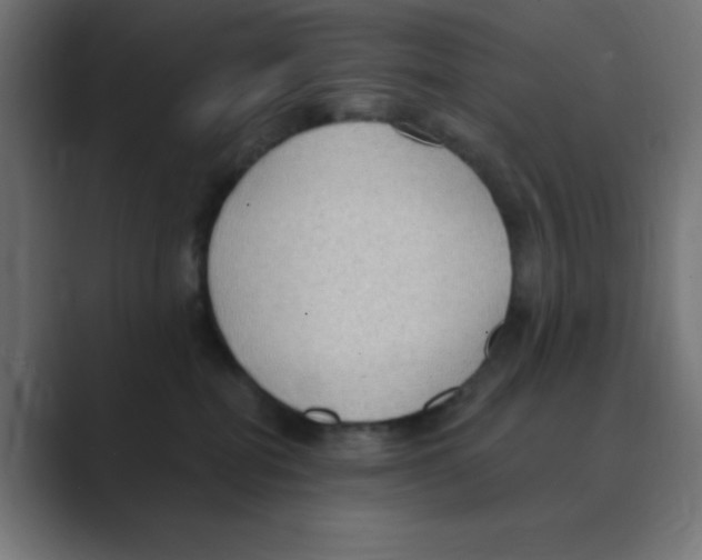 X0000088490282200706191430