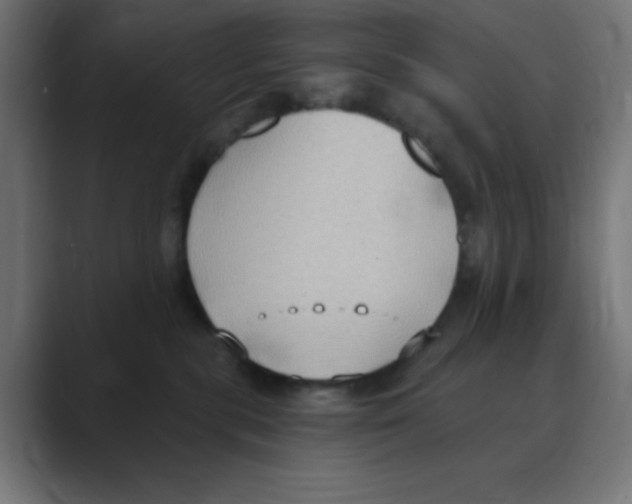 X0000088490283200706191430