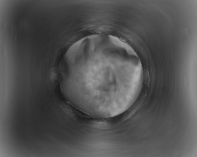 X0000088490284200706191430