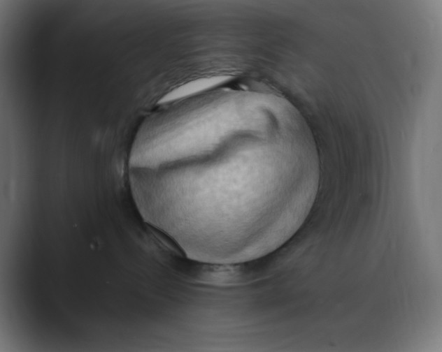 X0000088490288200706191430