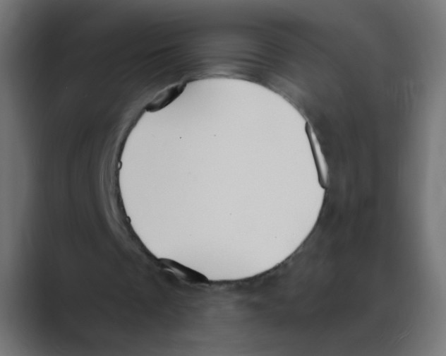 X0000088490289200706191429