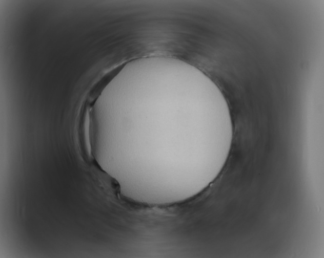 X0000088490290200706191429