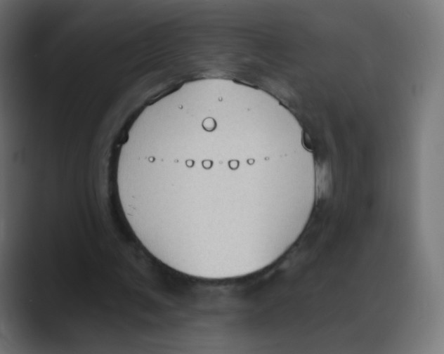 X0000088490291200706191429