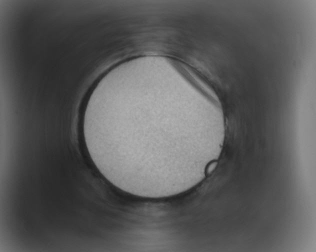 X0000088490292200706191429