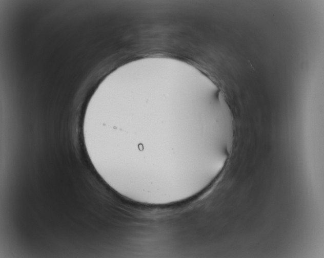 X0000088490293200706191429