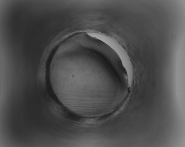 X0000088490295200706191429