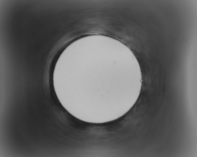 X0000088490296200706191429