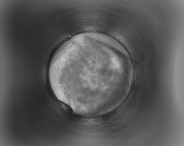 X0000088490297200706191429