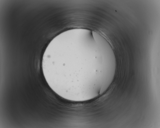 X0000088490301200706191429