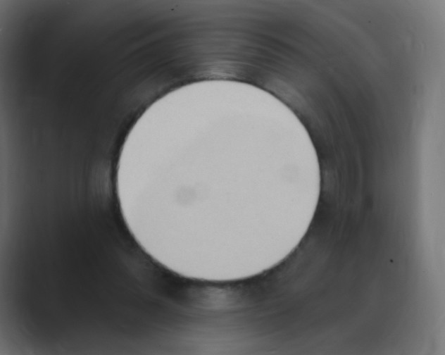 X0000088490302200706191429