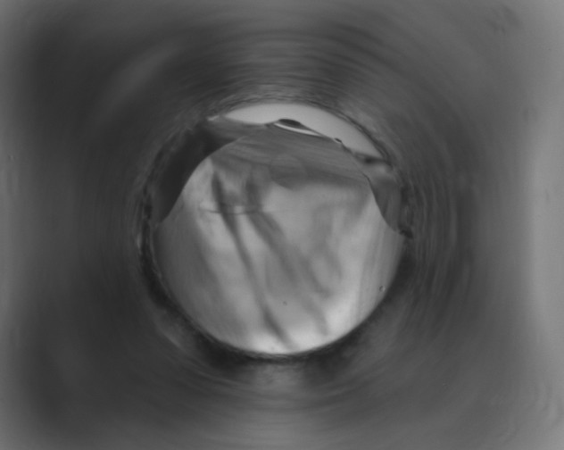 X0000088490303200706191429