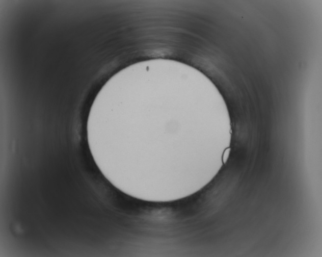 X0000088490304200706191429